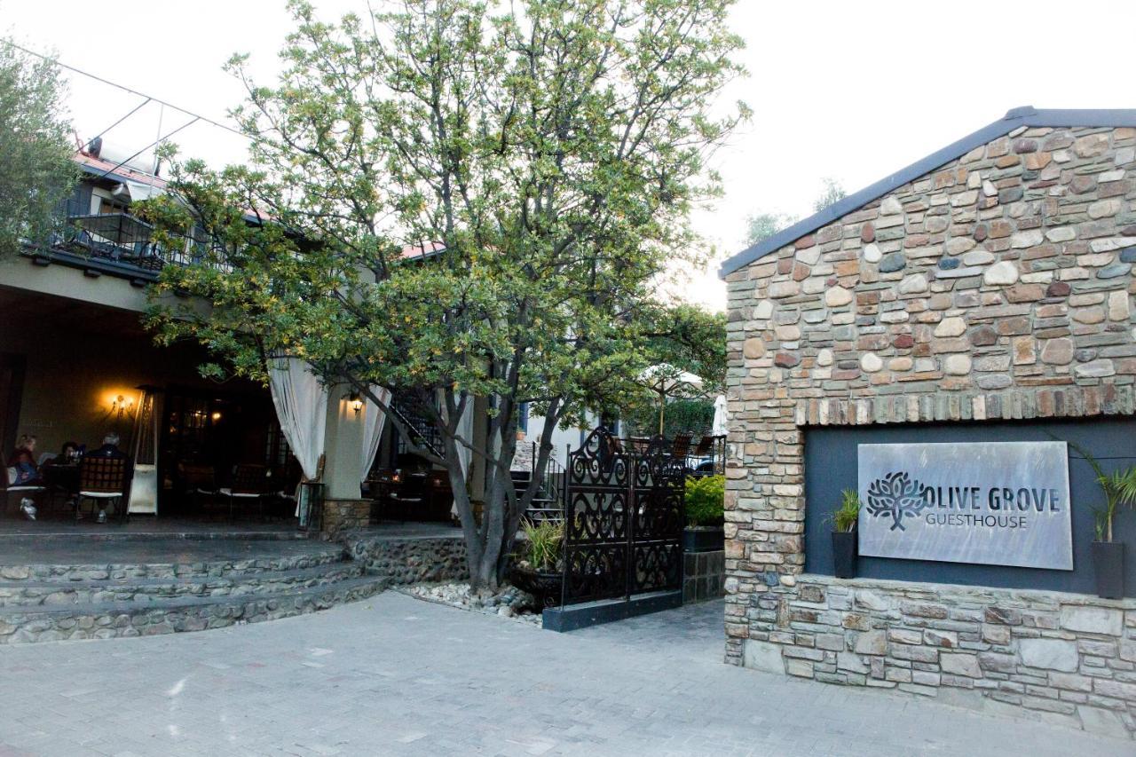 Olive Grove Guesthouse Windhuk Zewnętrze zdjęcie